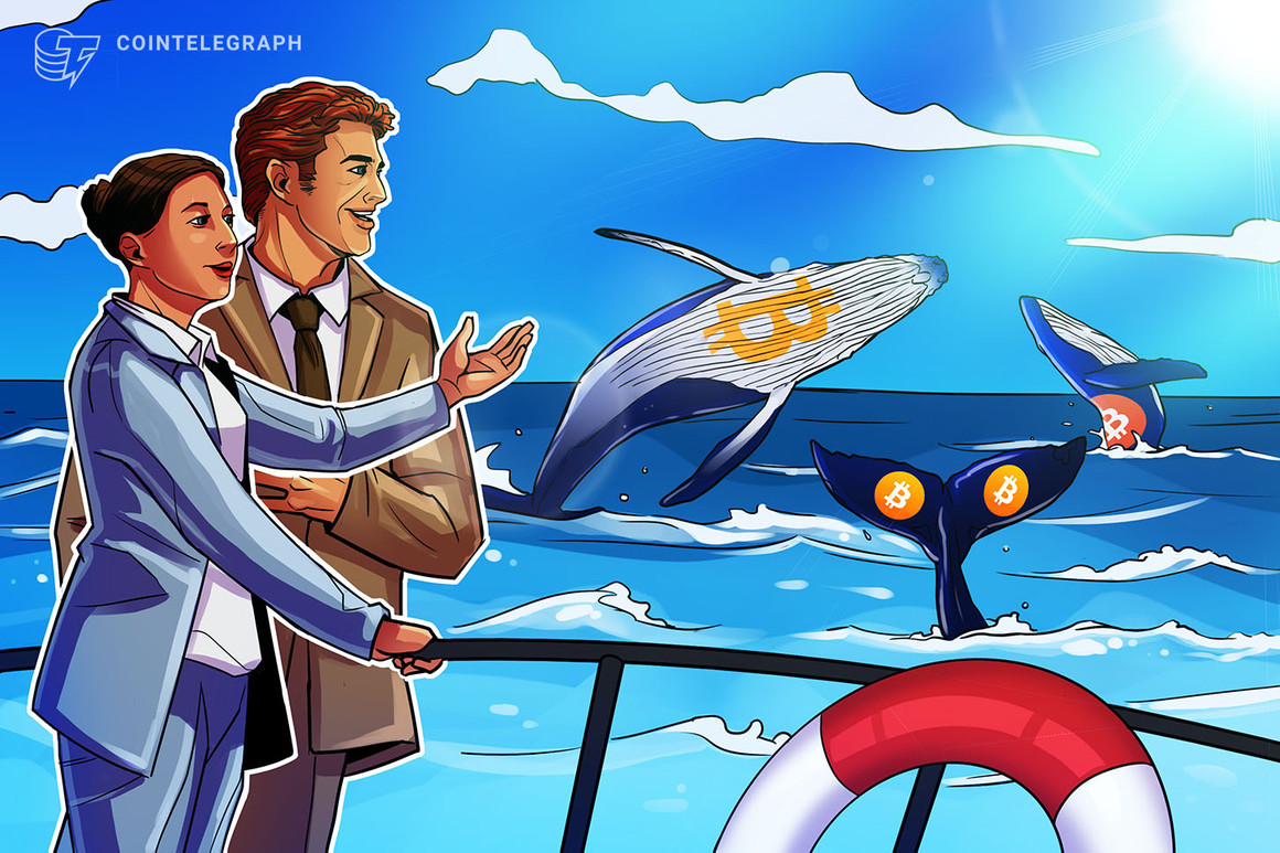 Bitcoin whales join ‘small fish’ in buying BTC as price holds above $47K