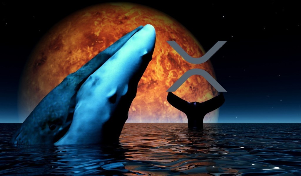 Crypto Whales Moving Millions in XRP As Google Searches for Crypto Asset Explode to All-Time High
