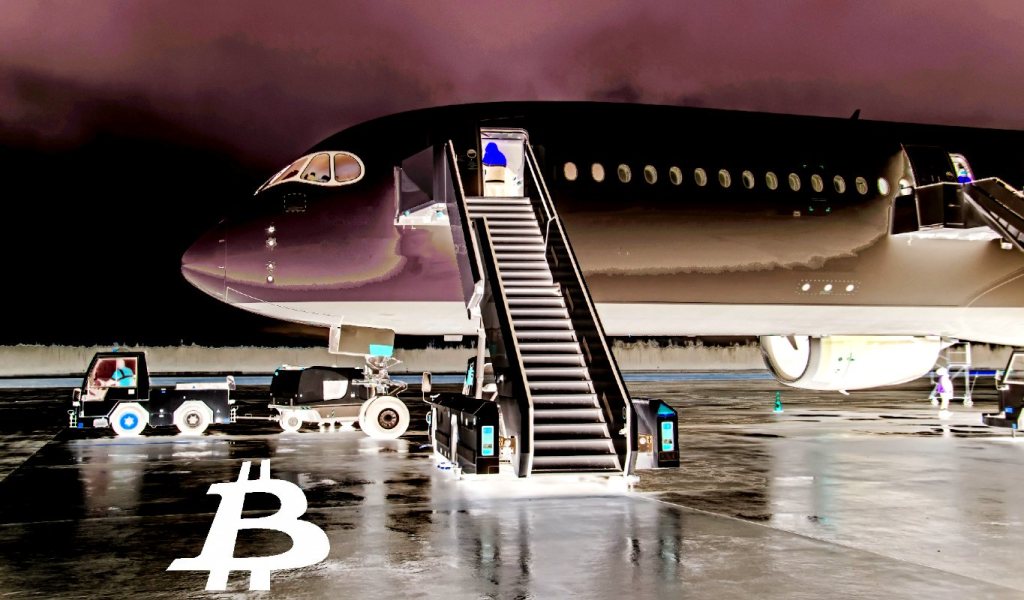 Ripple Executive Owes Sister $100,000 in Bitcoin for a Plane Ticket