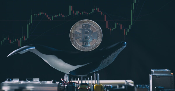 Whale Addresses Holding At Least 1,000 Bitcoin are Taking Profits